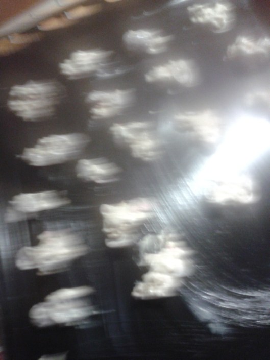 2013-12-23 09.49.17 - Kopia