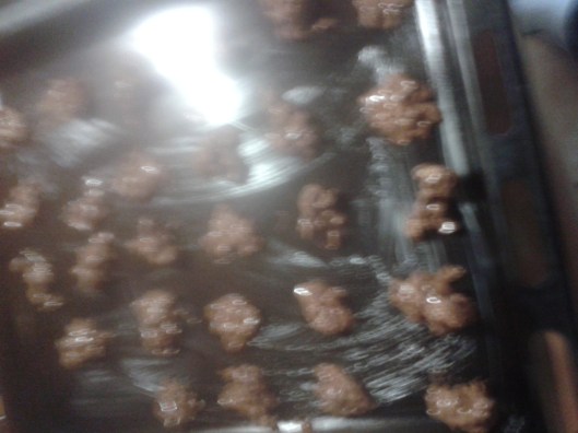 2013-12-23 10.06.03 - Kopia