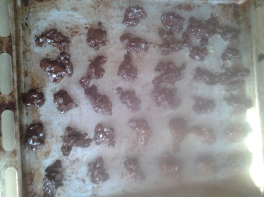 2013-12-23 11.08.39 - Kopia