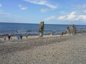 20140812_155335 - kopia