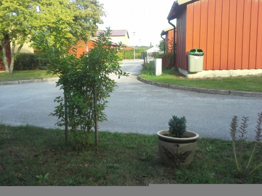 20140807_184622.jpg image