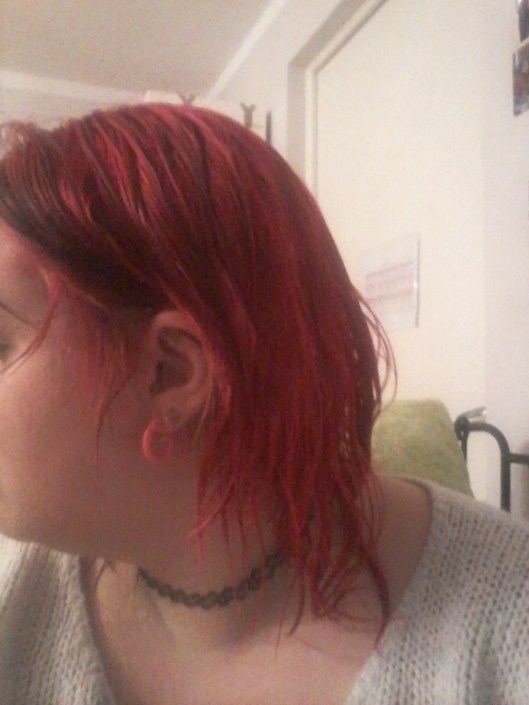 20160219_204826.jpg image