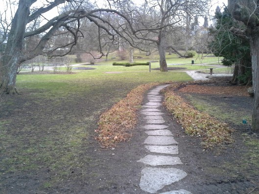 20160228_092658.jpg image