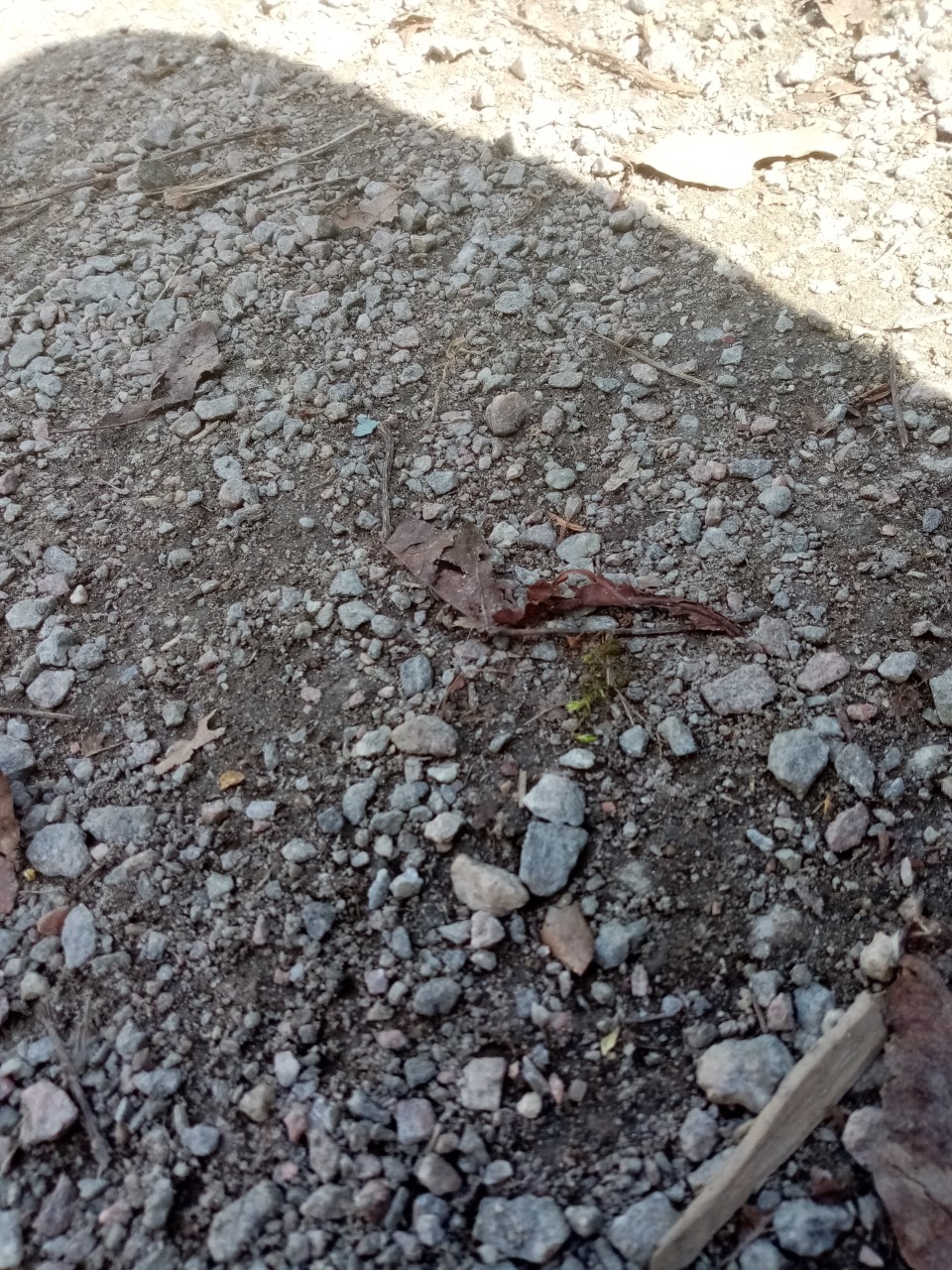 thumbnail_IMG_20200521_143955