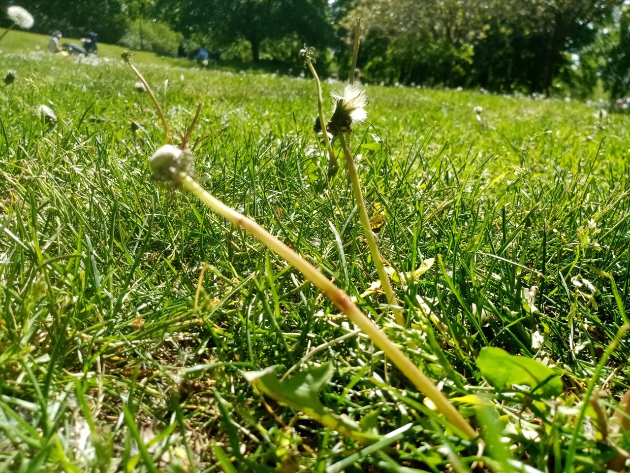 thumbnail_IMG_20200530_140743