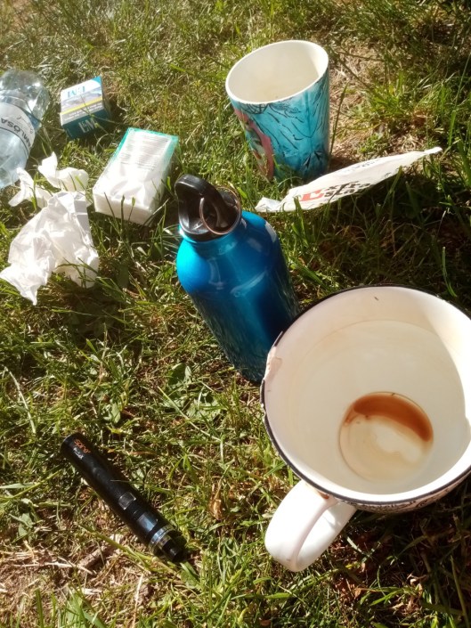 fikamedcarolina20200614