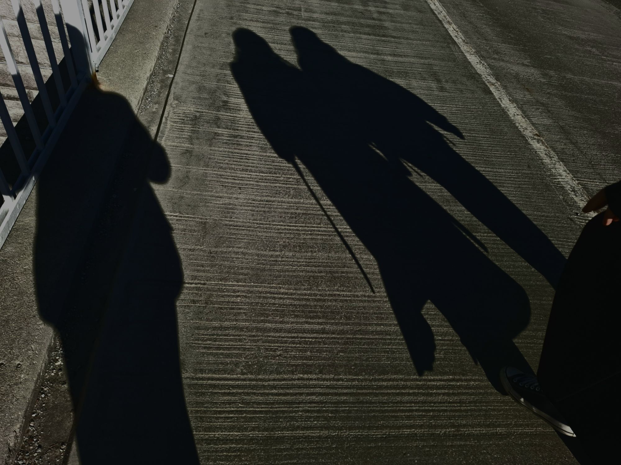 Shadow Road Shadows on edgy road. | Yolanda and her creative scream